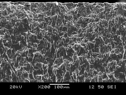 Typical Sem Images Of Fatigue Fracture Surface Of A Uswed Similar