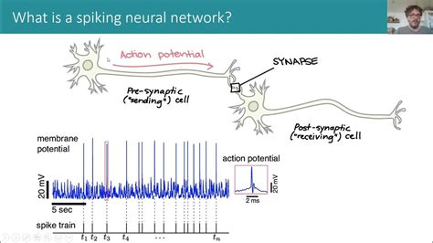 Cosyne 2022 Tutorial On Spiking Neural Networks Part 12 Youtube