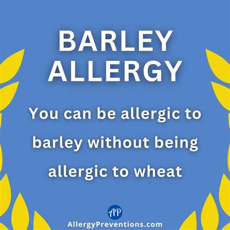 Barley Allergy: What You Need to Know - Allergy Preventions