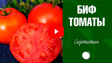 Биф томаты 🍅 Обзор от эксперта - YouTube