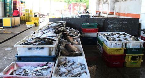 Comerciantes Do Mercado Do Peixe De Teresina Relatam Queda Nas Vendas