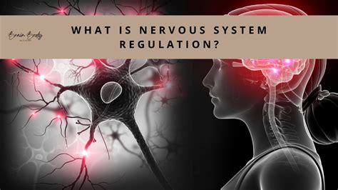 Nervous System Regulation