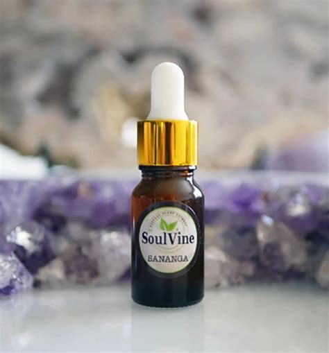 Products – Page 2 – The Soul Vine