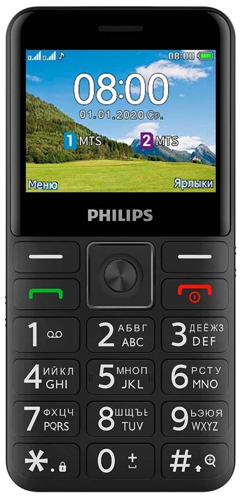 Сотовый телефон Philips Xenium E207 Black – купить за 0 ₽ | iziclick.ru