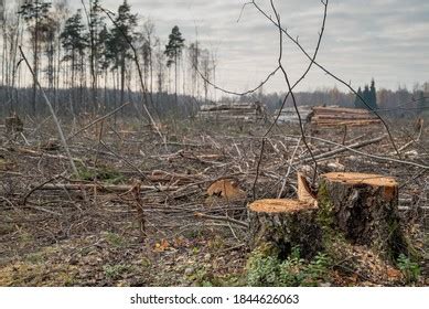 14,065 Destruction Ecosystem Images, Stock Photos & Vectors | Shutterstock