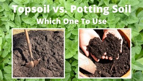 Topsoil Vs Potting Soil Differences Potting Mix Explained