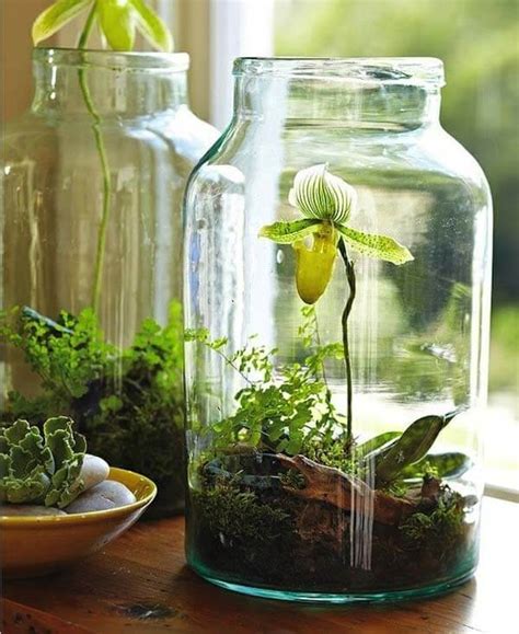 53+ Creative Indoor Miniature Garden Ideas - FarmFoodFamily