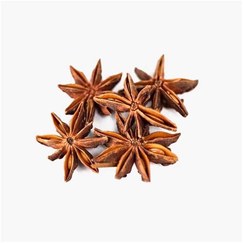 DECORATIVE STAR ANISE PODS - Pure Pods