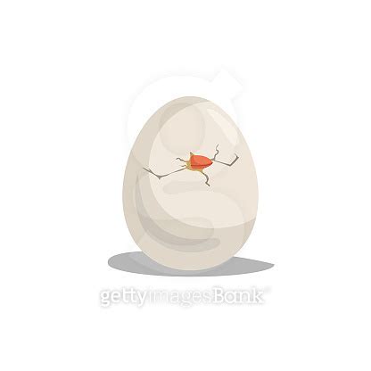 Cartoon Cute Chic Hatching Easter And Newborn Symbol Vector