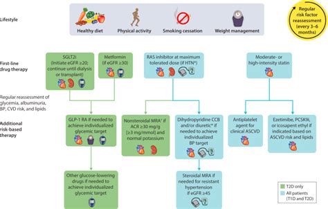 Executive Summary Of The KDIGO 2022 Clinical Practice Guideline For