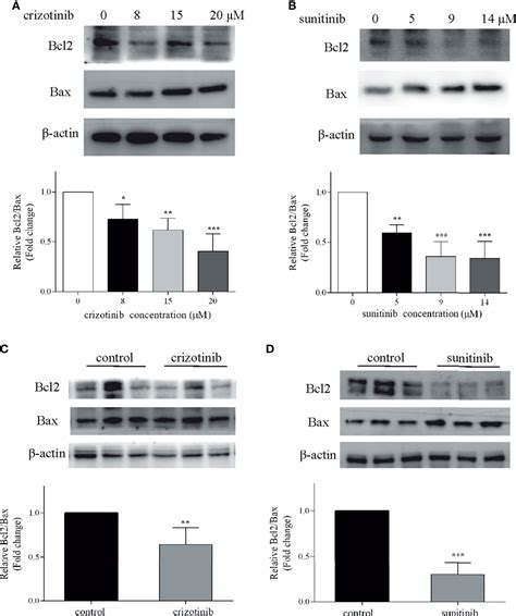 Frontiers An Insight On The Pathways Involved In Crizotinib And