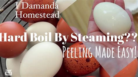 Hard Boil Farm Fresh Eggs Steam Them The Easy Peel Method That