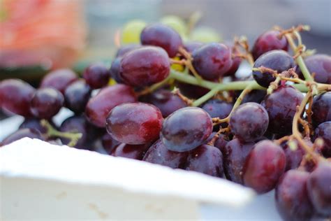 4,000+ Best Purple Grapes Photos · 100% Free Download · Pexels Stock Photos