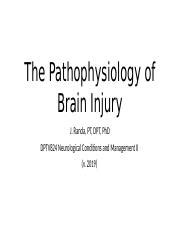 The Pathophysiology Of Brain Injury Pptx The Pathophysiology Of