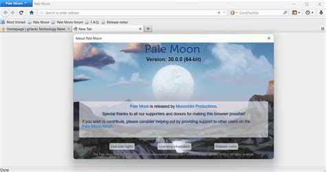 Pale Moon Archives Ghacks Tech News