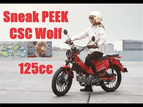 Sneak PEEK NEW 2025 CSC Wolf 125 Town And Trail Motorcycle YouTube