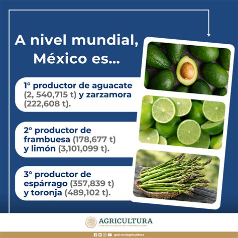 Principales Exportaciones De México Secretaría De Agricultura Y