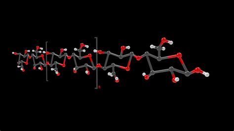 Cellulose Structure 3D Model - TurboSquid 2210445