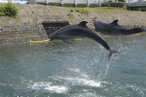 令和5年度 春の初心者講習会 要項 長野県高等学校文化連盟 写真専門部