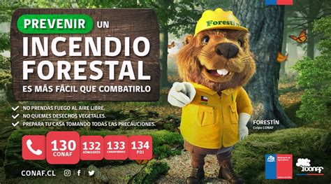 Gobierno de Chile on Twitter Prevenir un incendio forestal es más