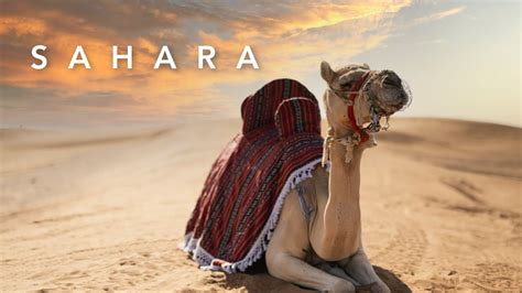 Sahara Cinematic Bright Youtube