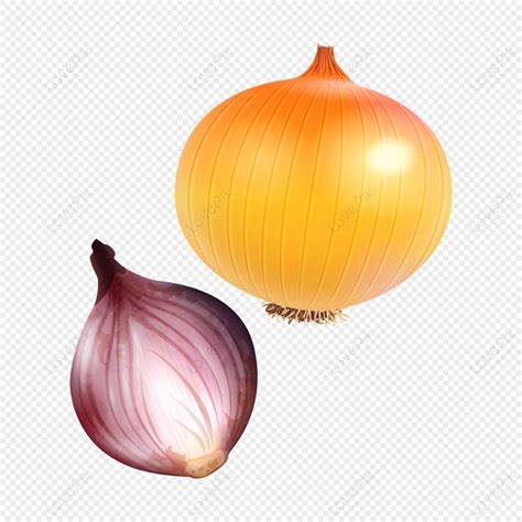 Detail Bawang Png Vector Koleksi Nomer 50