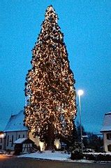 Category Outdoor Christmas trees in Baden Württemberg Wikimedia Commons