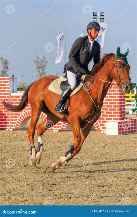 Jockey Horseback Riding on Purebred Red Horse, Vertical Editorial Stock ...