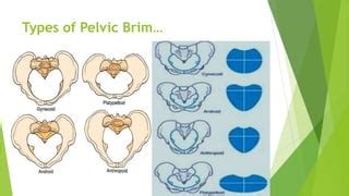 Pelvimetry | PPT