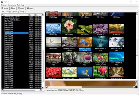 The Best Photo Organizing Software Top Programs