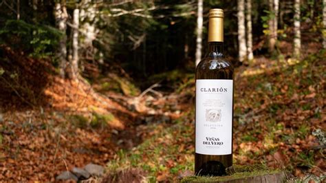 Este es el mejor vino blanco de España según Wine Searcher