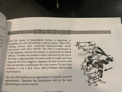 Solved The E2F family of transcription factors is important | Chegg.com 