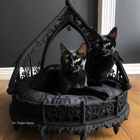 Dark Home Decor Goth Home Decor Crazy Cat Lady Crazy Cats Cat