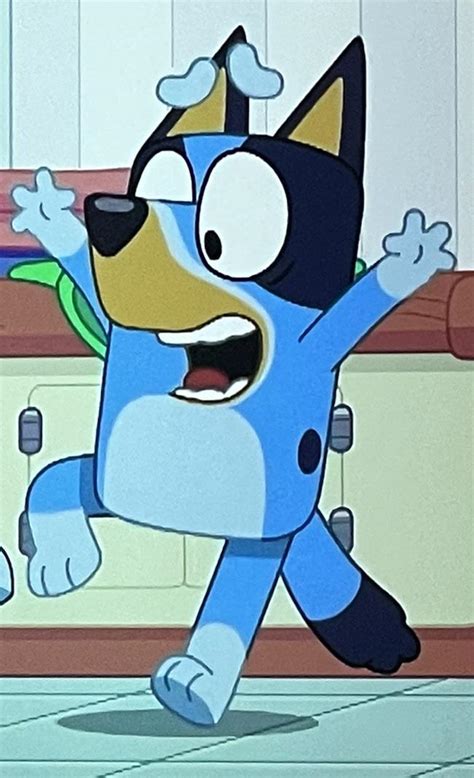 My new favorite Bluey expression. : r/bluey