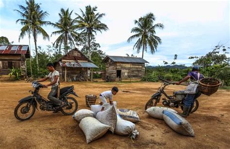 Sandungan Kelompok Perhutanan Sosial Haki