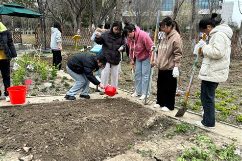 我院举办“‘植此青绿，耕种春意”劳动教育活动