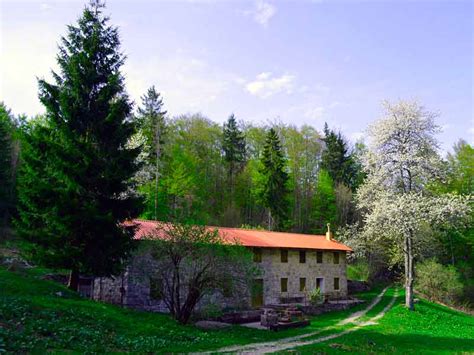 Maison Foresti Re Domaine Public Ou Priv