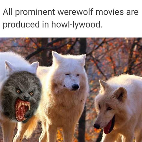 Werewolf Meme Discover more interesting Dog, Happy, Scary, Werewolf memes. https://www.idlememe ...