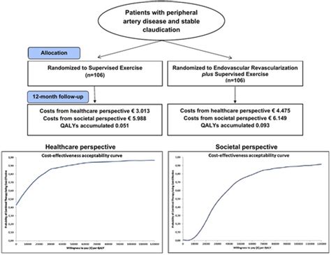 Endovascular Revascularization Plus Supervised Exercise Versus Supervised Exercise Only For