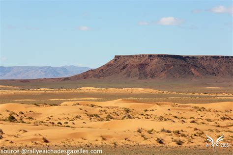 Le Rallye A Cha Des Gazelles La Me Allopneus Le Mag