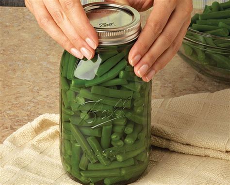 Can Green Beans Grow In Shade