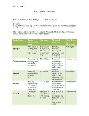 Bacteria Identification Guide Review Quiz Identification Of Most