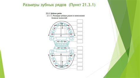 Диагностика в ортодонтии - презентация онлайн