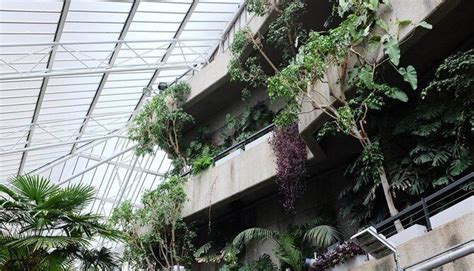 Barbican Conservatory London United Kingdom Citydays