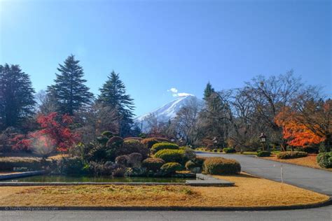 Checking into Fuji View Hotel – A taste of Old-World Charm • The Petite ...