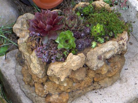 Busy Bee Hypertufa Planters Hypertufa Concrete Planters Garden Diy Flower Pots