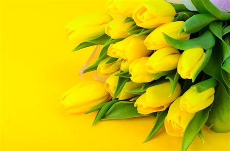 Premium Photo | Bouquet of fresh yellow tulips