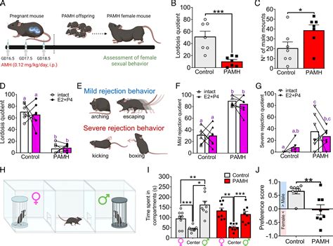 Female Sexual Behavior Is Disrupted In A Preclinical Mouse Model Of