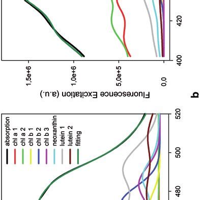 Spectral Deconvolution Of Absorption And Fluorescence Excitation