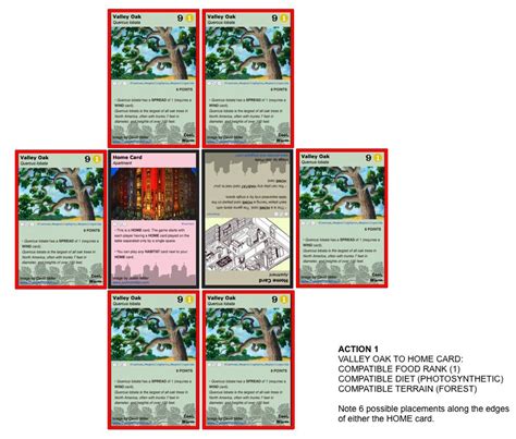 Ecosystem Game Basic Rules Version A Phylo The Trading Card